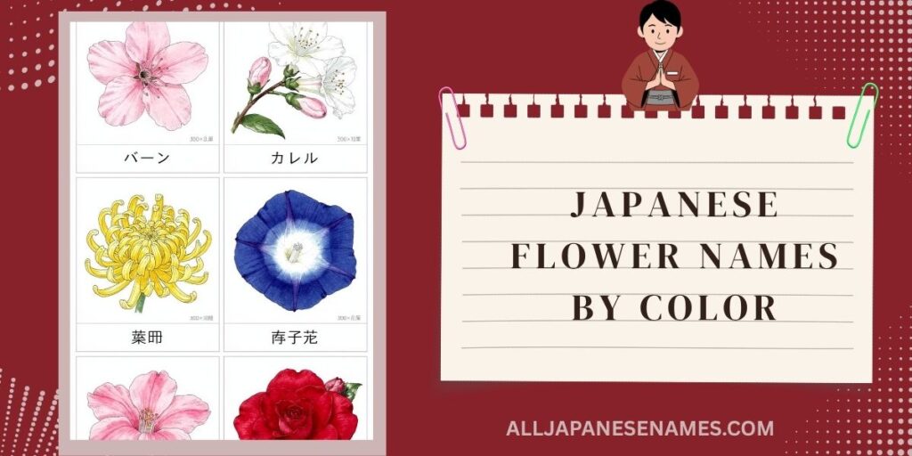 Japanese Flower Names By Color