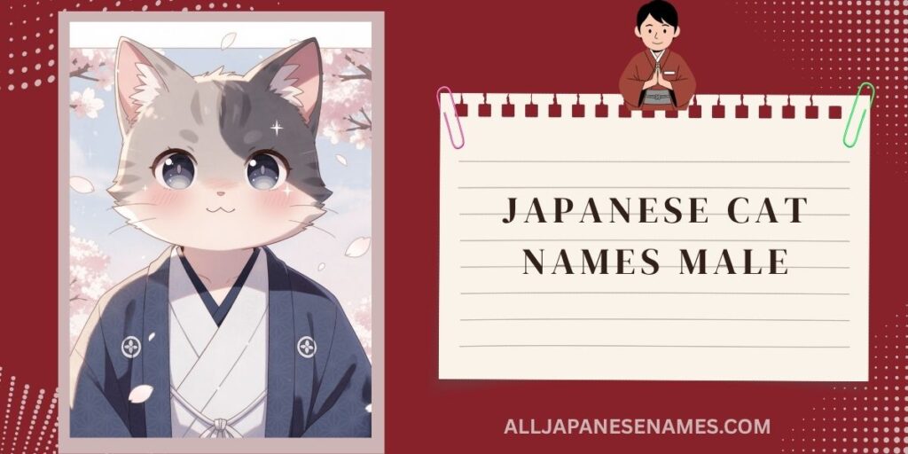 Japanese Cat Names Male