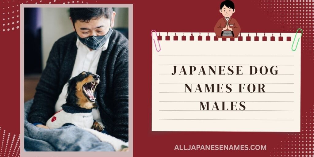 Japanese Dog Names for Males