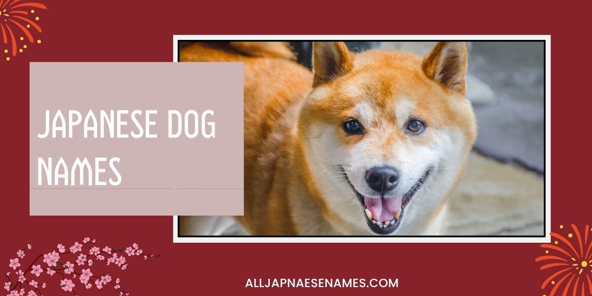 Japanese Dog Names
