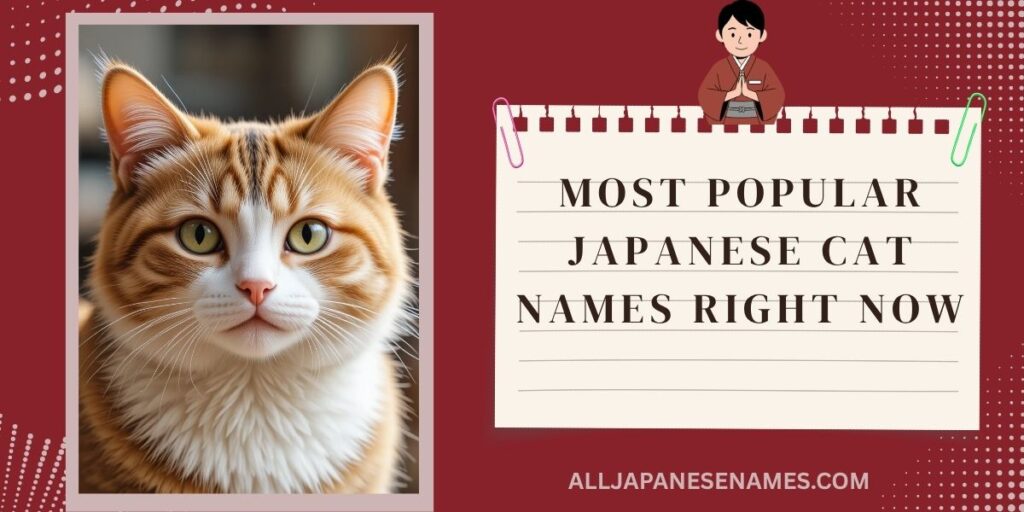 Most Popular Japanese Cat Names Right Now