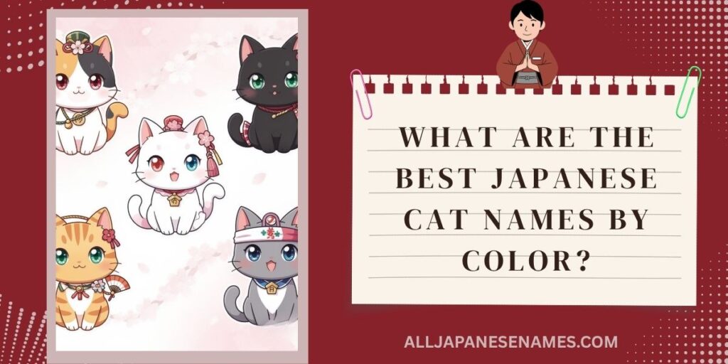 What Are the Best Japanese Cat Names by Color